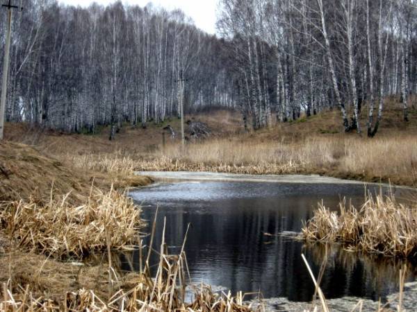 Останки былой славы Останки былой славы