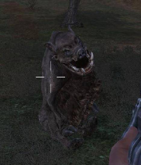 Пара скринов из сталкера