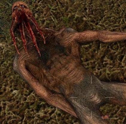 Пара скринов из сталкера