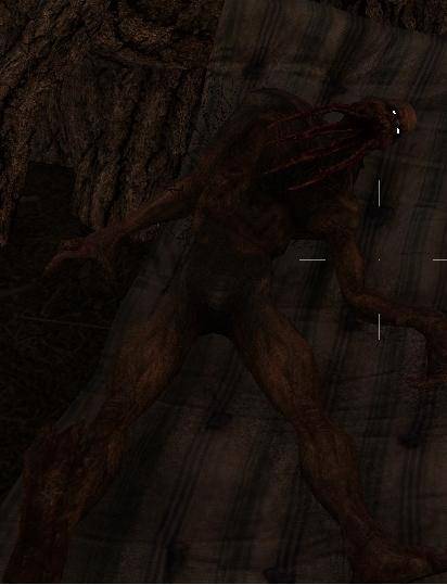 Пара скринов из сталкера