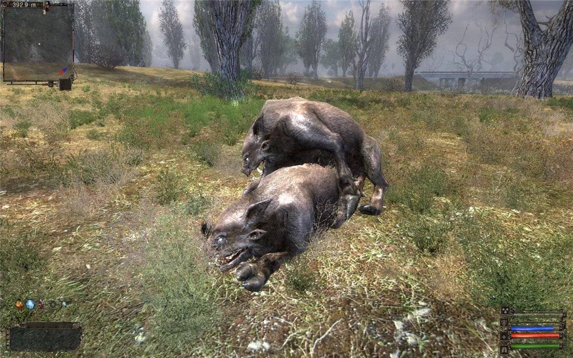 Прикольные скрины S.T.A.L.K.E.R. Очень старался)))) Прикольные скрины S.T.A.L.K.E.R. Очень старался))))