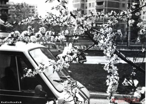 припять до аварии 