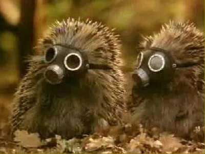 Припять востанавливается