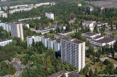 Природа прибрала Чернобыль к рукам