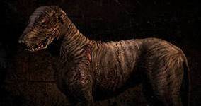 Проект "Экология ЧЗО", Выпуск №2 "Чернобыльская Собачка"