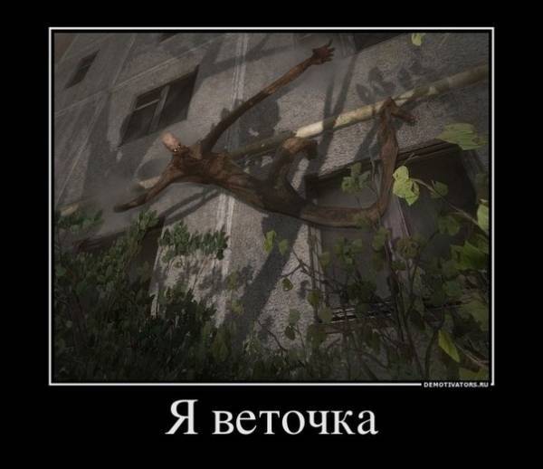 Разные фото-приколы из фан-групп картинки сталкер ВК