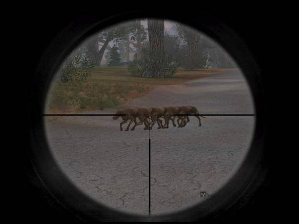 Разные фото-приколы из фан-групп картинки сталкер ВК