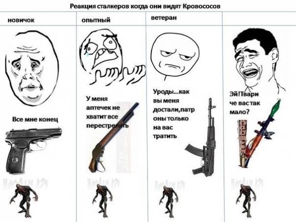 Разные фото-приколы из фан-групп картинки сталкер ВК
