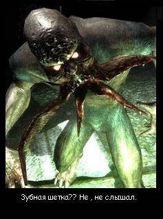 Разные фото-приколы из фан-групп картинки сталкер ВК