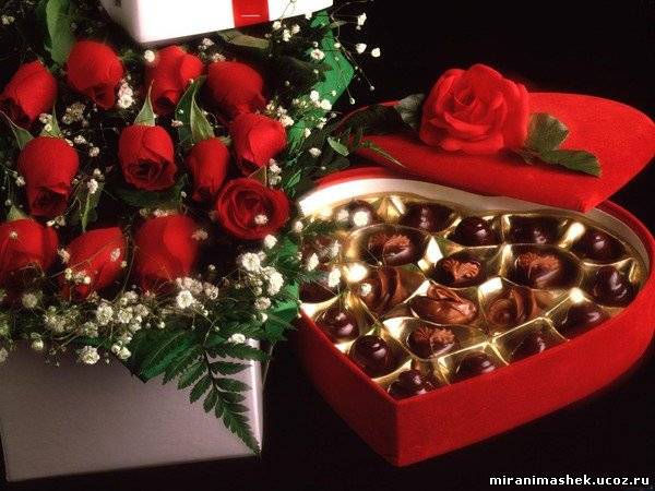 С Днем рождения, Greentigra!