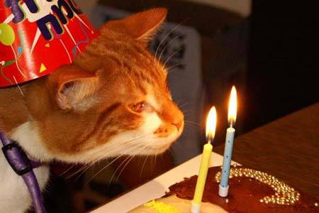 С ДР пушистый)))