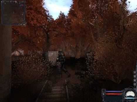 сказки на ночь 