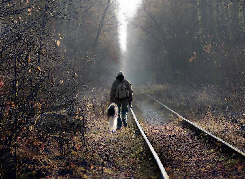 Скриншоты на тему "Сталкер". Скриншоты на тему "Сталкер".