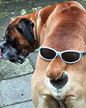 Смехо-картинки часть третья Смехо-картинки часть третья