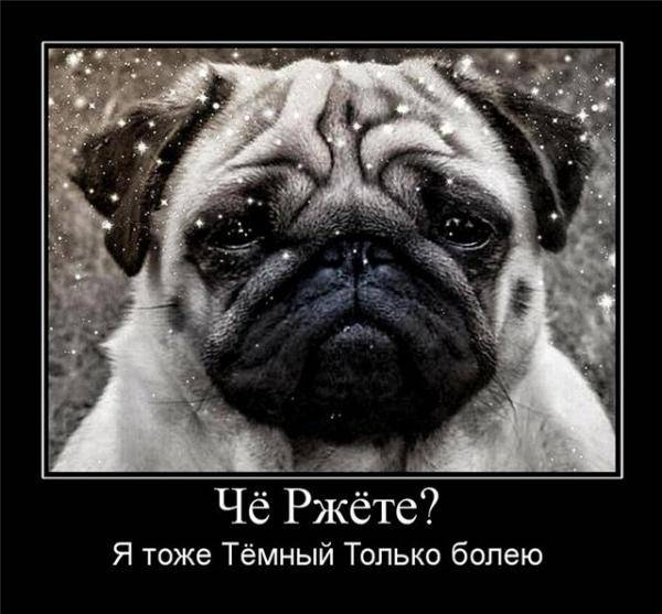 Соревнования кланов. Первый тур.