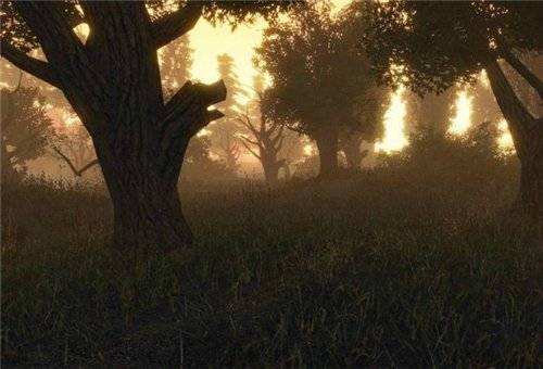 S.T.A.L.K.E.R. Deadly trails мод для Crysis S.T.A.L.K.E.R. Deadly trails мод для Crysis