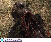 S.T.A.L.K.E.R "Фотореалистичная зона: Живность" S.T.A.L.K.E.R "Фотореалистичная зона: Живность"