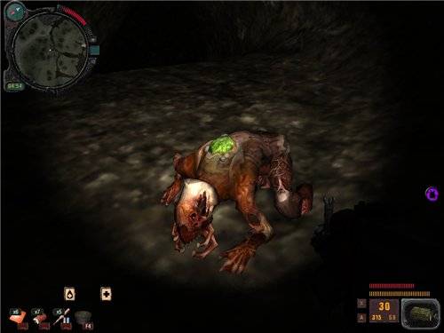 S.T.A.L.K.E.R. Путь в Никуда