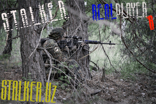 S.T.A.L.K.E.R. RealPlayer 6 - о какой реальности можно ещё говорить? 