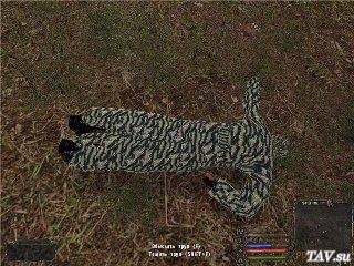 S.T.A.L.K.E.R. "ЖЕСТЬ" мод