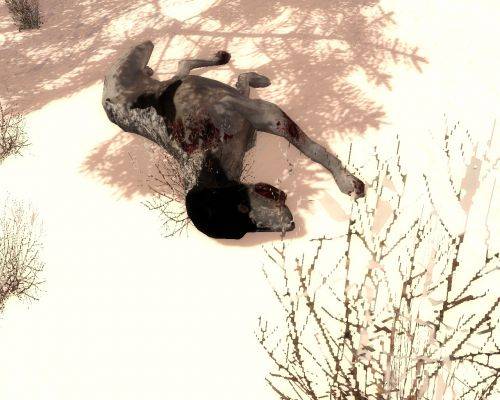 S.T.A.L.K.E.R.: Зов Припяти "END WAR MOD (Winter) 2010" S.T.A.L.K.E.R.: Зов Припяти "END WAR MOD (Winter) 2010"