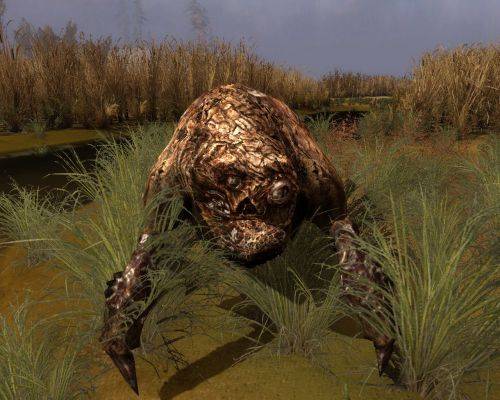 S.T.A.L.K.E.R. Зов Припяти "Псевдоплоть"