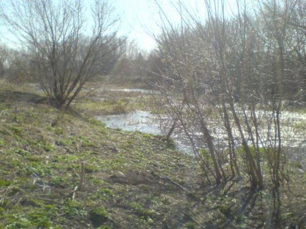 Страйкбольный "Сталкер"