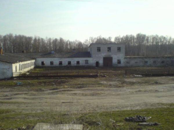 Страйкбольный "Сталкер" Страйкбольный "Сталкер"