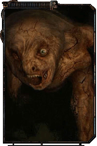 Существа Зоны - Какие они?