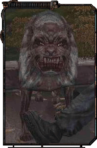 Существа Зоны - Какие они?