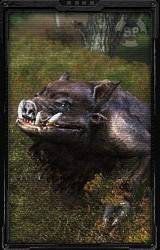 Существа Зоны - Какие они?