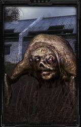 Существа Зоны - Какие они?