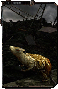 Существа Зоны - Вне игры Существа Зоны - Вне игры