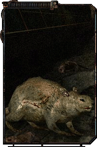 Существа Зоны - Вне игры Существа Зоны - Вне игры