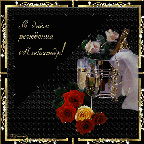 У Боксера День Рождения!