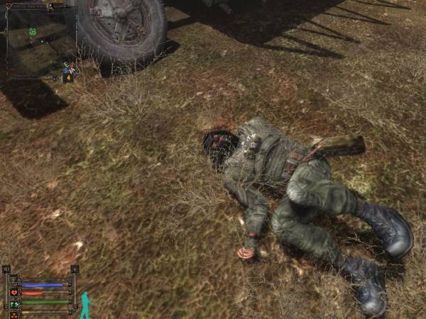 Ужасный день сталкера или страшный сон.