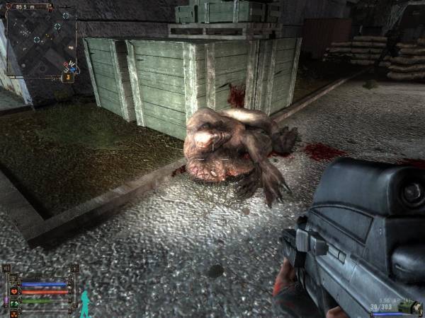 Ужасный день сталкера или страшный сон.