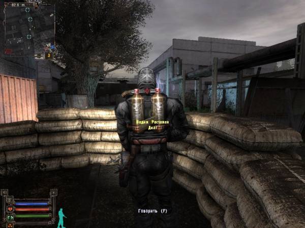 Ужасный день сталкера или страшный сон.