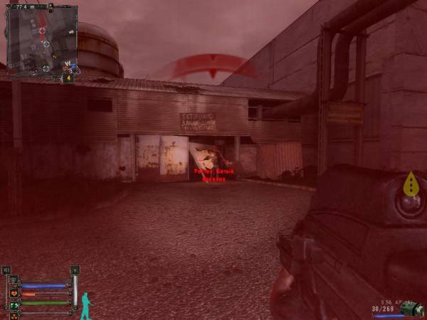 Ужасный день сталкера или страшный сон.