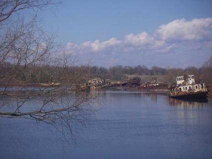 В Зону, или мечта идиота В Зону, или мечта идиота