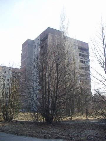 В Зону, или мечта идиота В Зону, или мечта идиота