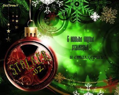 Здравствуй в Зоне НОВЫЙ 2011 ГОД!