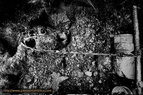 Зона отчуждения АЭС Фукусима-1 – состояние территории после полугодовой изоляции Зона отчуждения АЭС Фукусима-1 – состояние территории после полугодовой изоляции