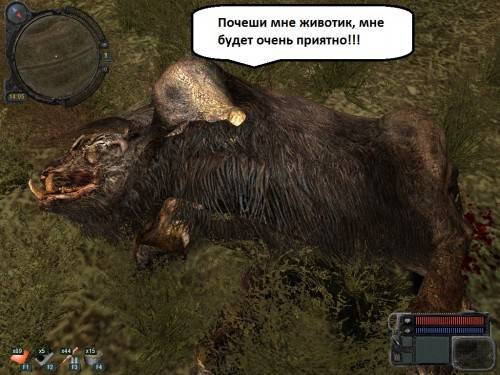 ЗП со смехом