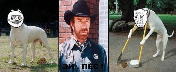 (Тема не указана)