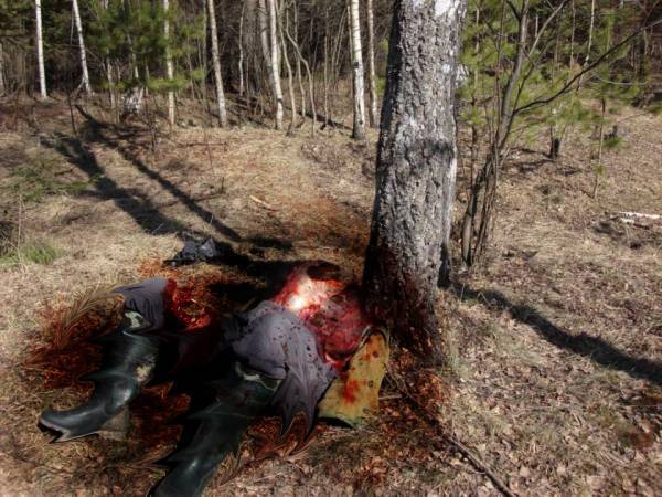 Вообщем, с доставкой кирпичей