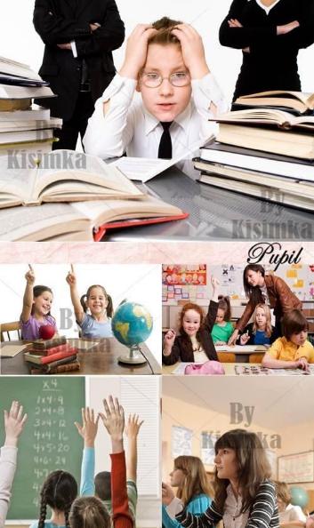 Куда пойдёте учиться (или где уже учитесь)?